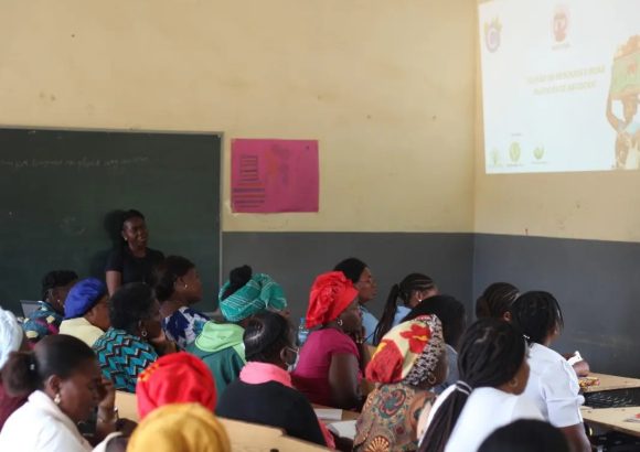 Palestras / Tela Verde