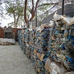 reciclagem1 Reciclagem